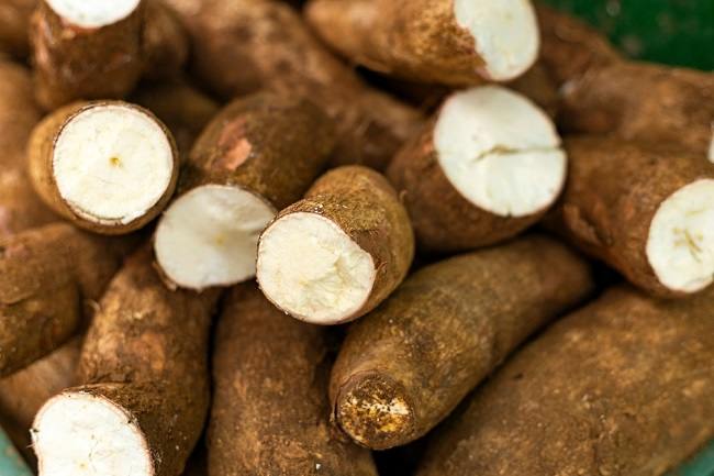 Tanaman Ubi Kayu (Singkong) di Desa Tempang Tiga